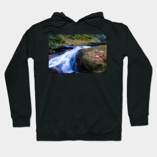 Roaring Fork Creek Falls Hoodie